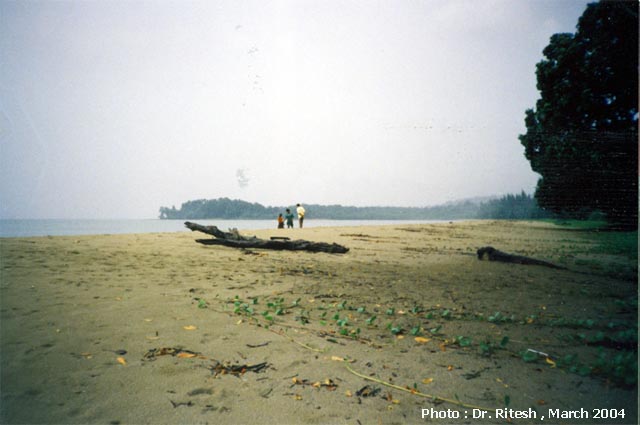 PHC Tugapur , North Andaman