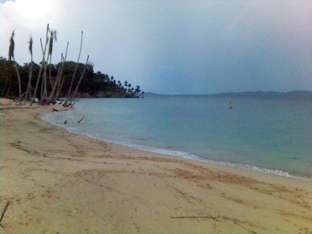 beachside Naked trees at Katchal