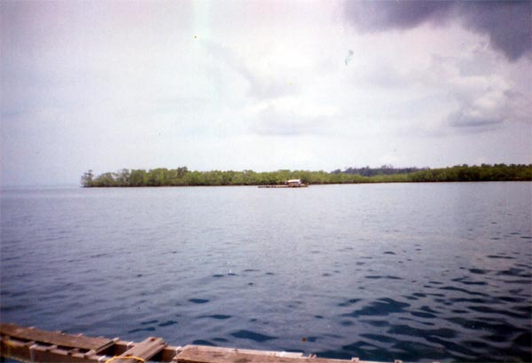 Floating fishing bouy