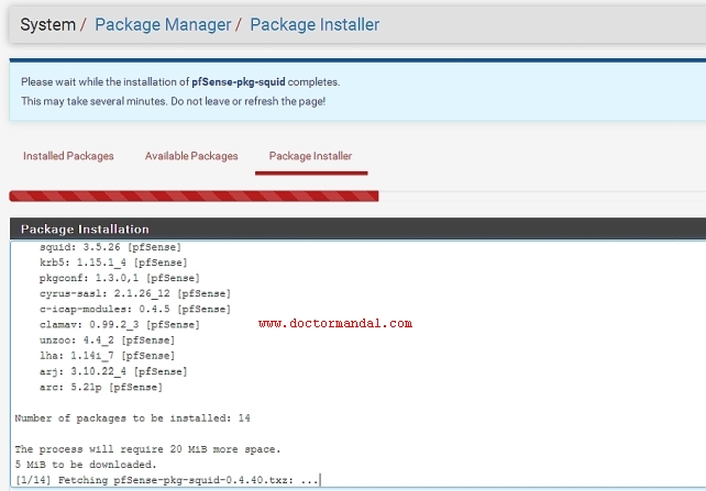 Confirm selecting the package